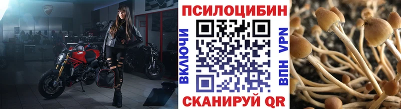 купить закладку  Полесск  маркетплейс как зайти  Галлюциногенные грибы мицелий 